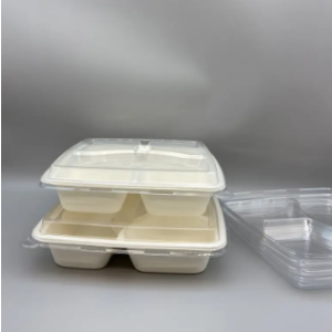 Product: BAGASSE TRAY 22.7CMX19.5CMX4CM 4 COMP. 600/CASE
